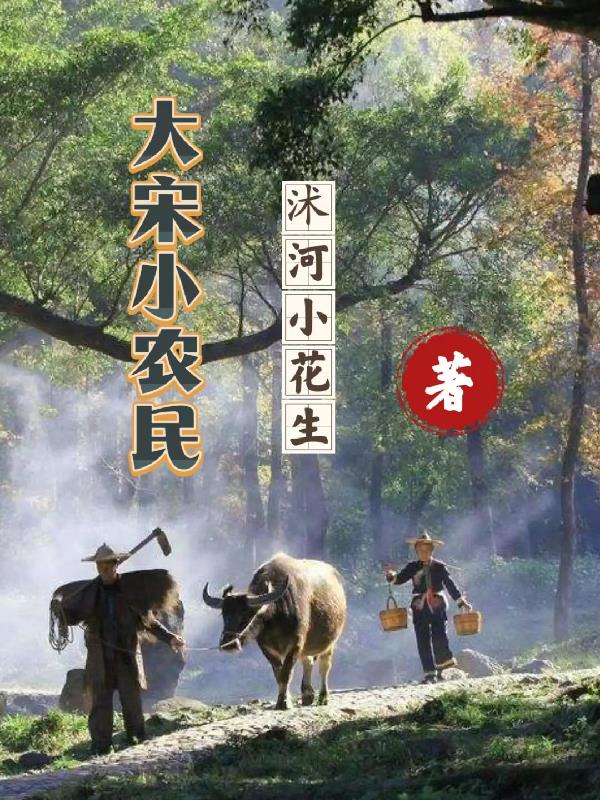 大宋北斗司电视剧